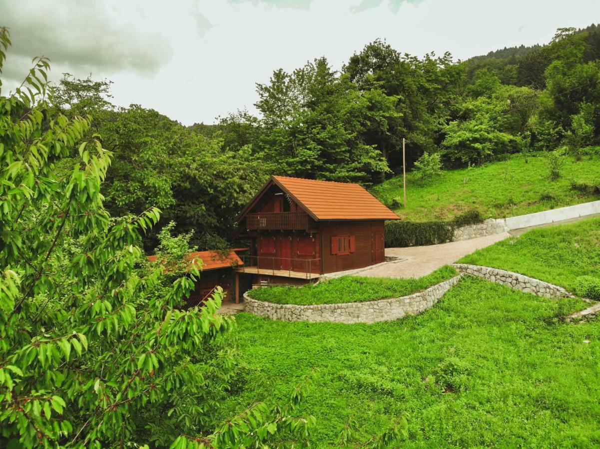 Lazec Country House Villa Pluznje ภายนอก รูปภาพ